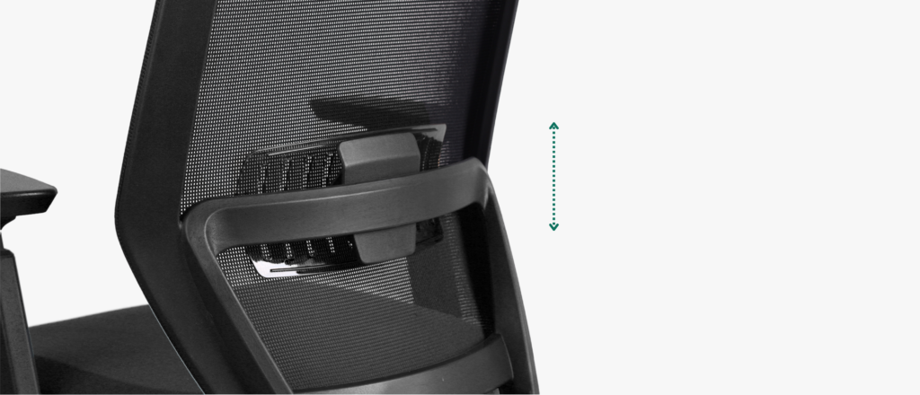 Brugal Lumbar support