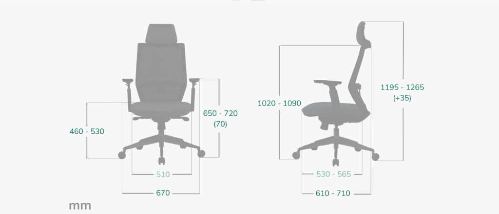 Brugal bong kich thuoc