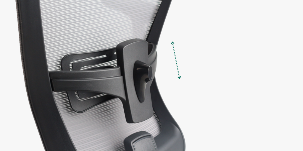 Curve lumbar support 2