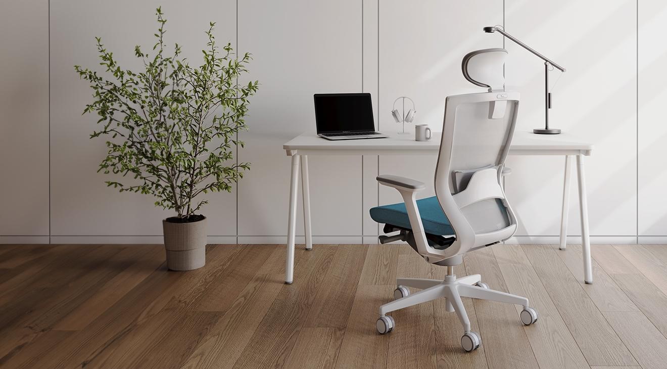 GHẾ CÔNG THÁI HỌC CÓ THẬT SỰ GIÚP GIẢM ĐAU LƯNG, BẢO VỆ CỘT SỐNG HIỆU QUẢ?