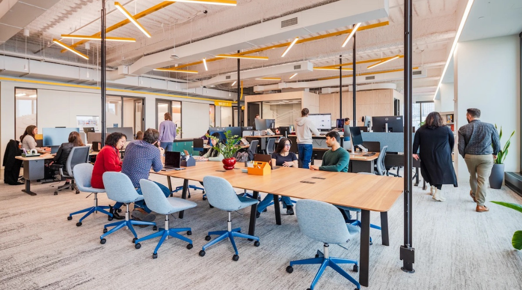 Ghế công thái học 