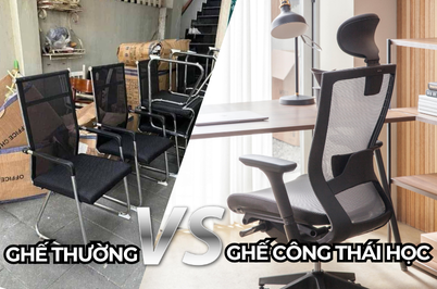 GHẾ VĂN PHÒNG THƯỜNG HAY GHẾ VĂN PHÒNG CÔNG THÁI HỌC?