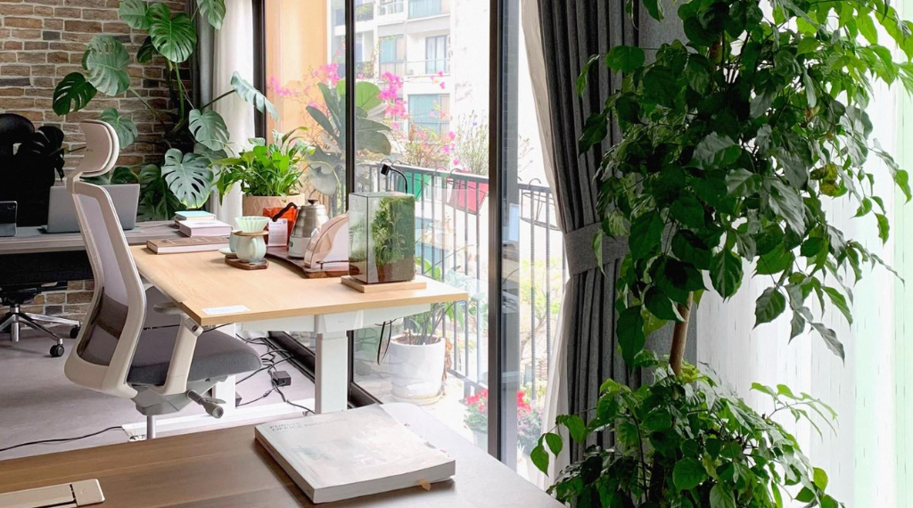 không gian làm việc công thái học