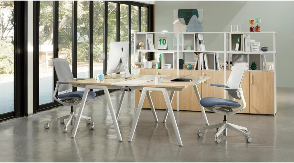 anh trong bai seo 6 1