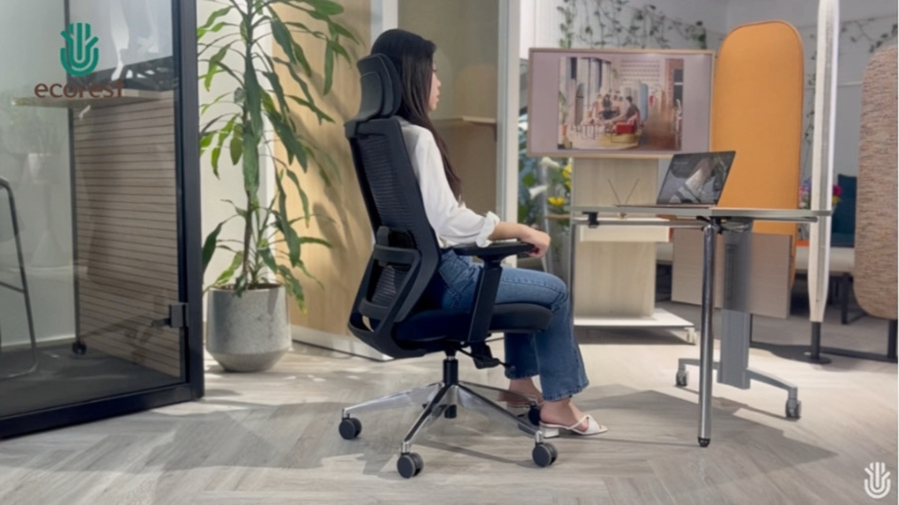 ghế công thái học Kinsha