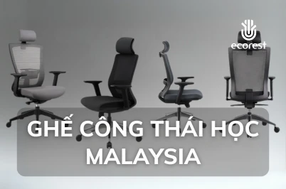 GHẾ CÔNG THÁI HỌC MALAYSIA – SỰ LỰA CHỌN HÀNG ĐẦU CHO KHÔNG GIAN LÀM VIỆC