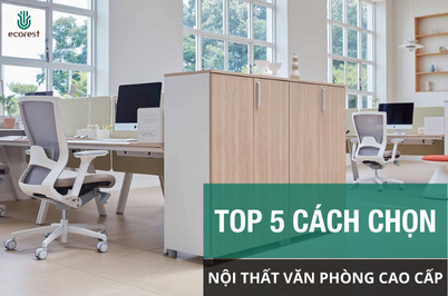 TOP 5 CÁCH CHỌN NỘI THẤT VĂN PHÒNG CAO CẤP CHO KHÔNG GIAN LÀM VIỆC HIỆN ĐẠI