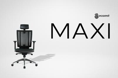 REVIEW CHI TIẾT GHẾ CÔNG THÁI HỌC KINSHA MAXI