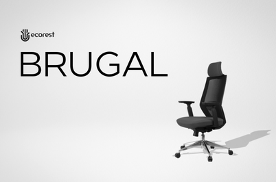 REVIEW CHI TIẾT GHẾ CÔNG THÁI HỌC KINSHA BRUGAL