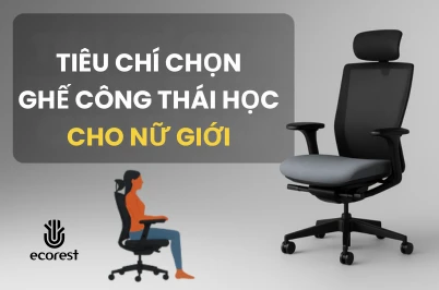 TIÊU CHÍ CHỌN GHẾ CÔNG THÁI HỌC CHO NỮ GIỚI