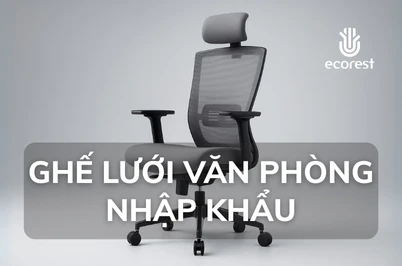 GHẾ LƯỚI VĂN PHÒNG NHẬP KHẨU – SỰ LỰA CHỌN TINH TẾ CHO KHÔNG GIAN VĂN PHÒNG LÀM VIỆC HIỆN ĐẠI