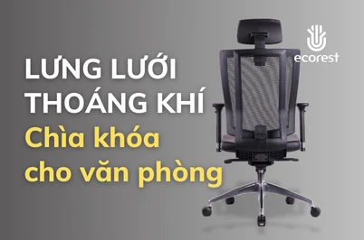 LƯNG LƯỚI THOÁNG KHÍ TẠO DỰNG SỰ THOẢI MÁI CHO DÂN VĂN PHÒNG