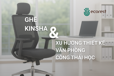 GHẾ KINSHA VÀ XU HƯỚNG THIẾT KẾ VĂN PHÒNG CÔNG THÁI HỌC