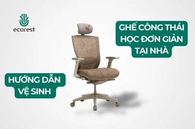 HƯỚNG DẪN VỆ SINH GHẾ CÔNG THÁI HỌC ĐƠN GIẢN TẠI NHÀ
