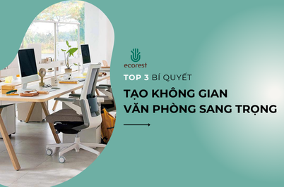 TOP 3 BÍ QUYẾT TẠO KHÔNG GIAN VĂN PHÒNG SANG TRỌNG