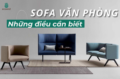NHỮNG ĐIỀU CẦN BIẾT VỀ SOFA VĂN PHÒNG